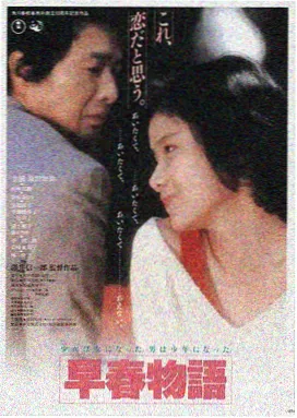 妃子笑荔枝 果大肉厚
